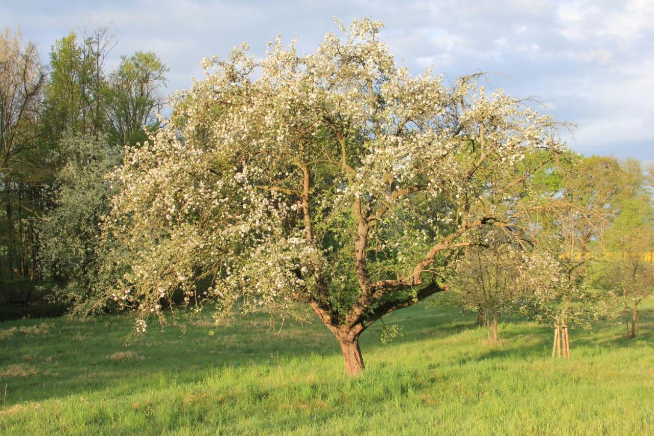 Apfelscheune Cannewitz Malschwitz Экстерьер фото